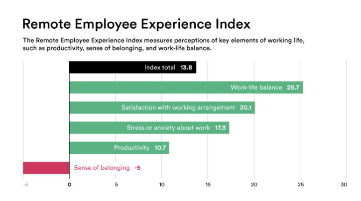 Remote Employee Index